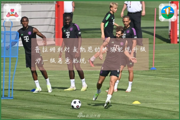 普拉姆利对麦凯恩的终场犯规升级为一级恶意犯规