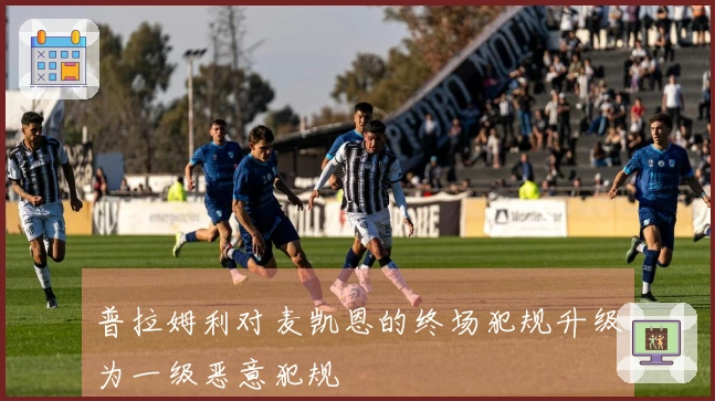 普拉姆利对麦凯恩的终场犯规升级为一级恶意犯规